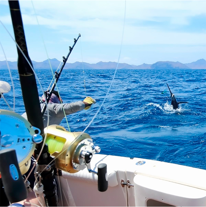 pesca-deportiva-2